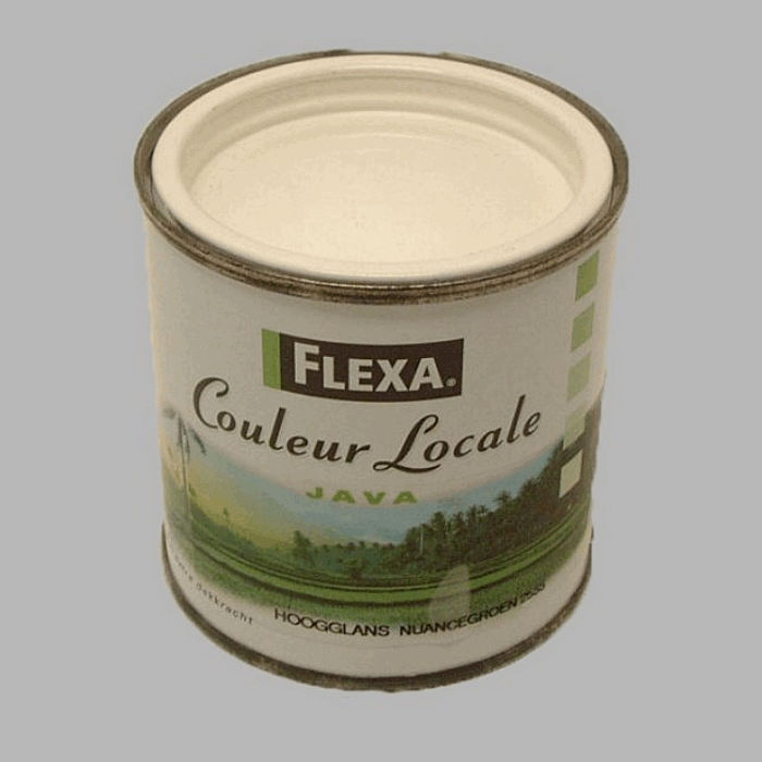 flexa local color high gloss 250 ml java nuance Green