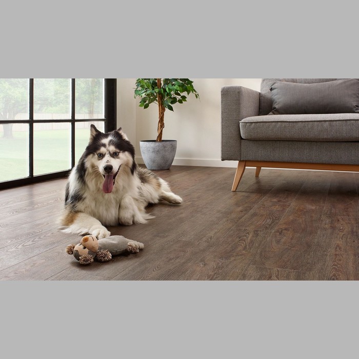 jasper oak 01 essentials 1500 Coretec pvc vloer