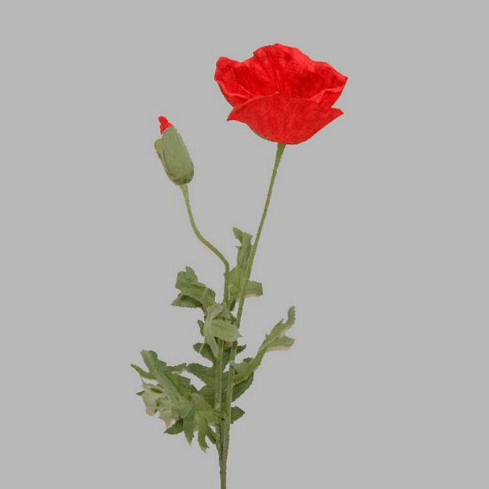 poppy with leaves color red length 75 cm