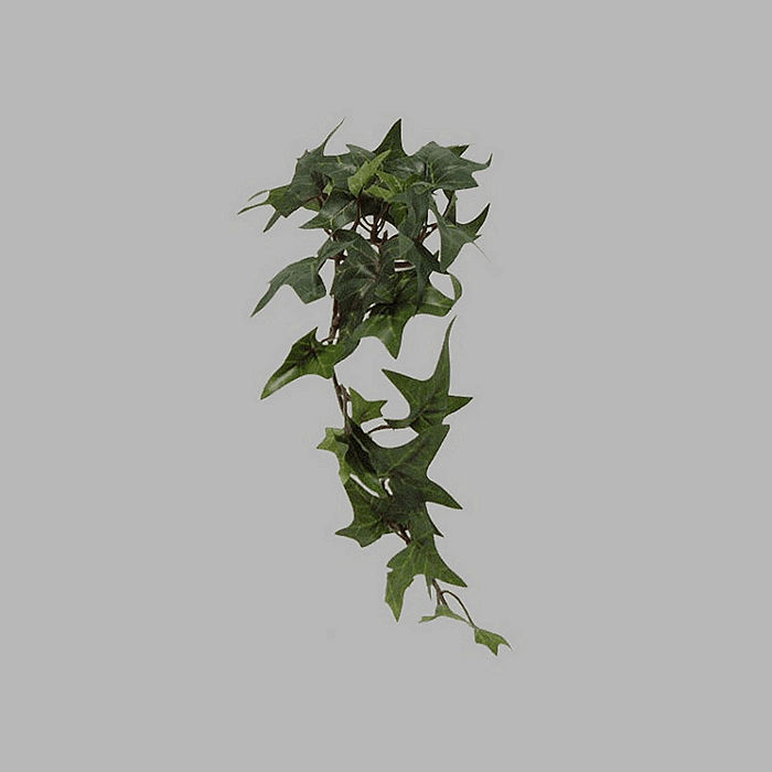 Ivy branch of silk green 22 mm length 20 cm