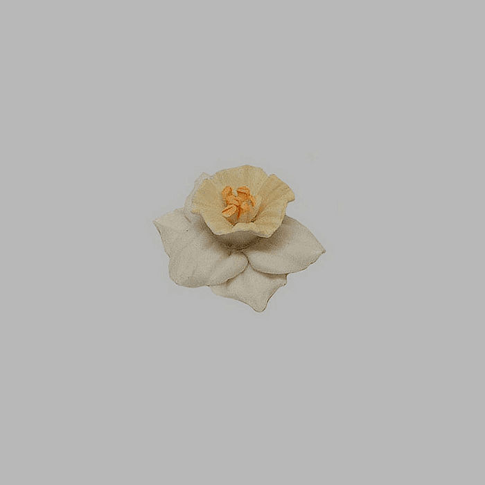 narcis van porselein kleur wit en geel 30 mm hoogte 15 mm