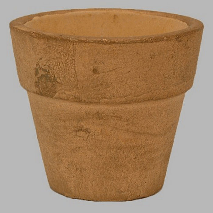 mini flower pots of gold-6 inches