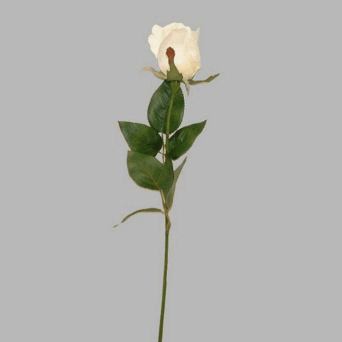 roos van zijde kleur wit lengte 60 cm