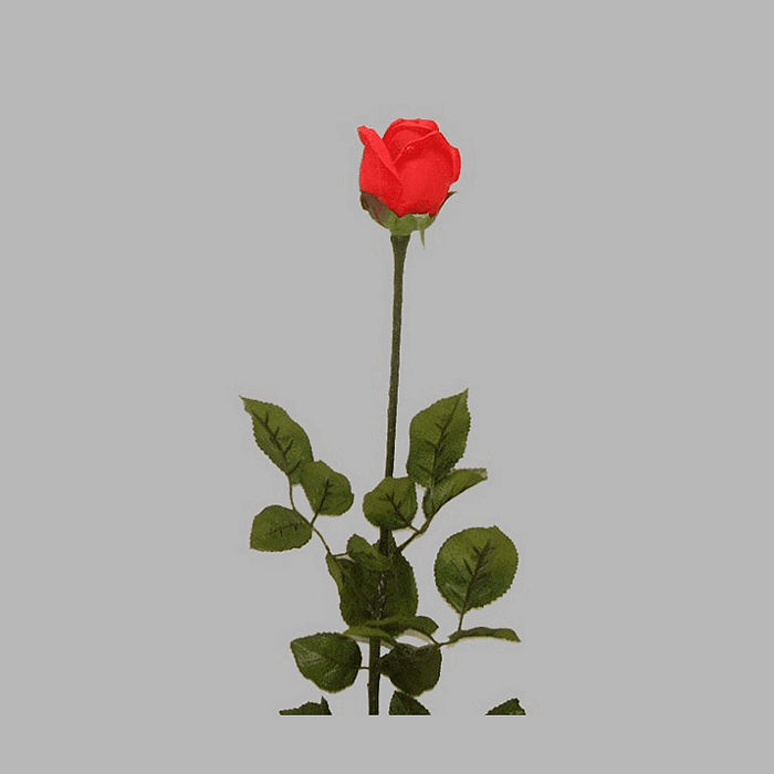 roos van zijde kleur rood lengte 90 cm
