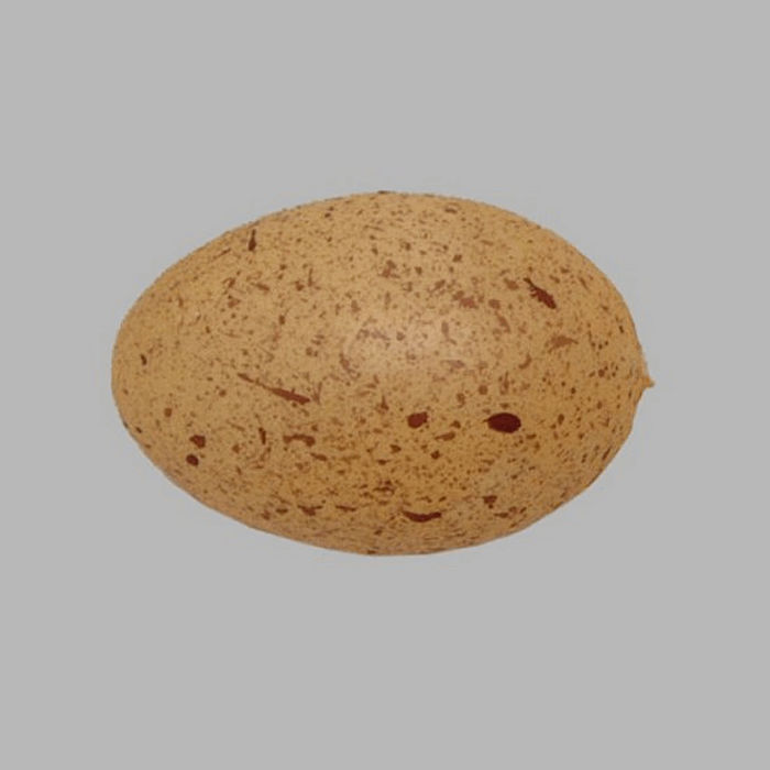 speckled egg plastic 5 x 8 cm